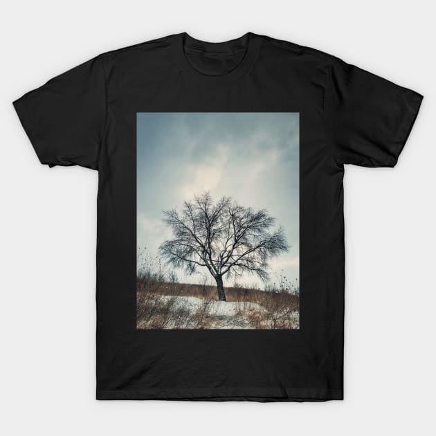 a tree on the snowy hill T-Shirt by psychoshadow